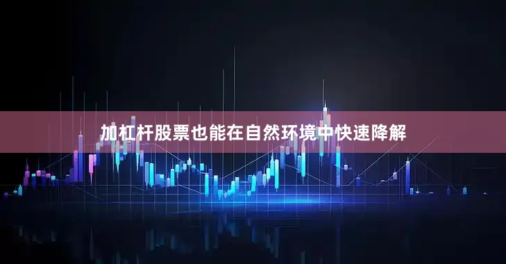 加杠杆股票也能在自然环境中快速降解