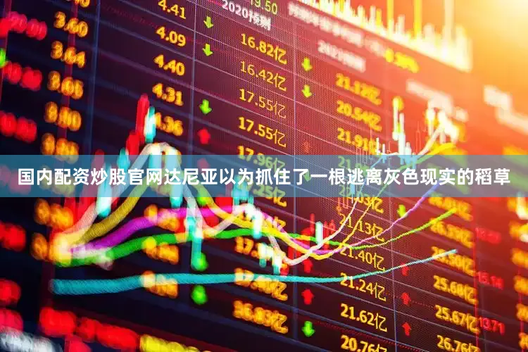 国内配资炒股官网达尼亚以为抓住了一根逃离灰色现实的稻草